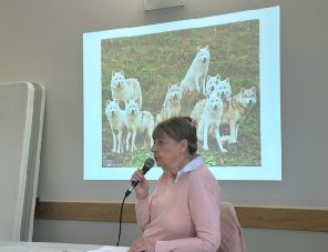 conference-le-loup.jpg